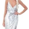 Girl In Mind Silver Sequin Embellished Mesh Dress -Closet Muse Store 13740