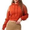 Nicce Ginger Ersa Cropped Hoodie -Closet Muse Store 27256