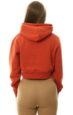 Nicce Ginger Ersa Cropped Hoodie -Closet Muse Store 27256 3