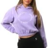 Gym King Violet Recharge Hoodie