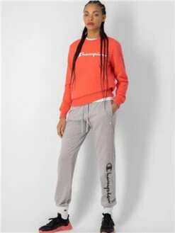 Champion Pink Big Logo Crewneck Sweatshirt -Closet Muse Store 28137 2